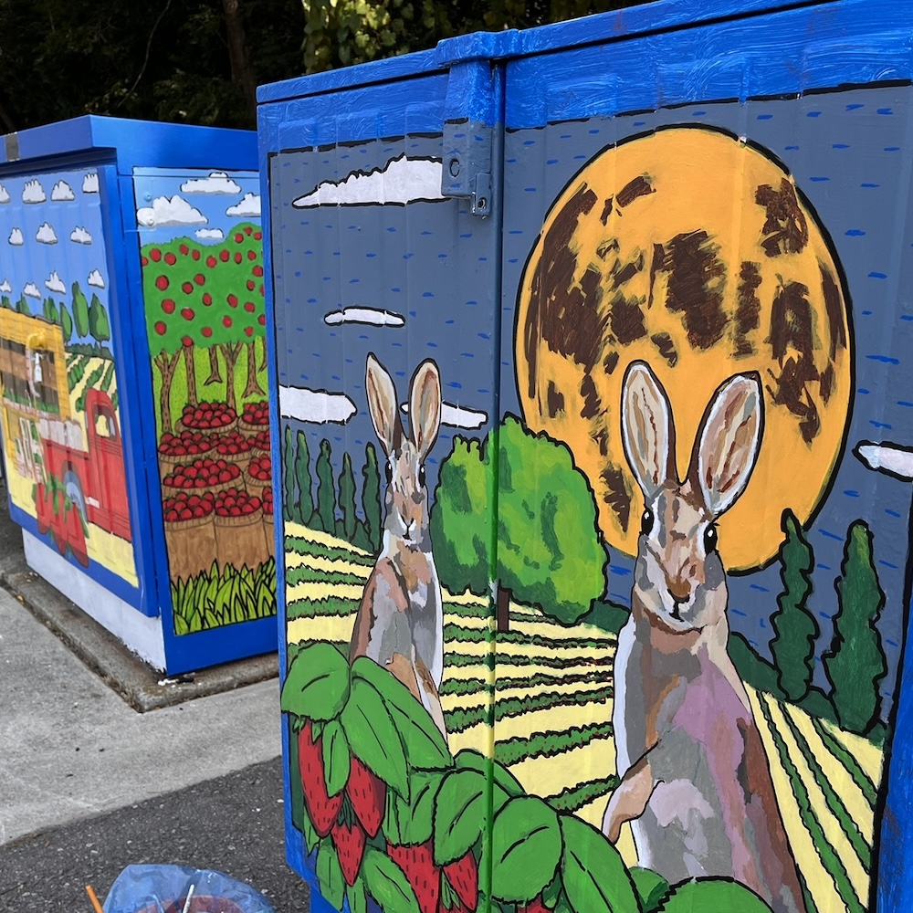 A side view of two hand painted utility boxes. The closer of the two depicts realistic rabbits that stand alert in a field in front of a big yellow moon.