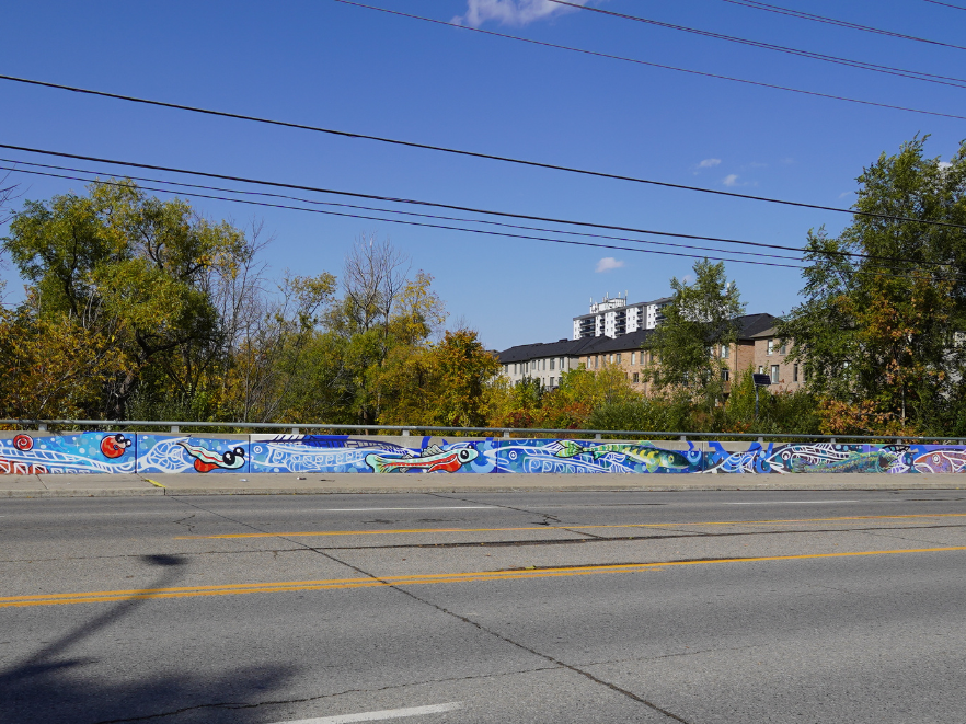A large scale hand-painted mural on a cement bridge guardrail. The mural depicts salmon in various stages of life in multple art styles swimming both against and with the current. 
